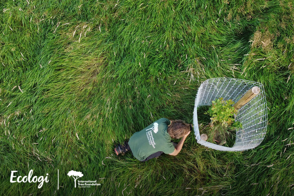 Man taking climate action by planting a tree from above