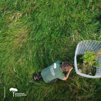 Man taking climate action by planting a tree from above